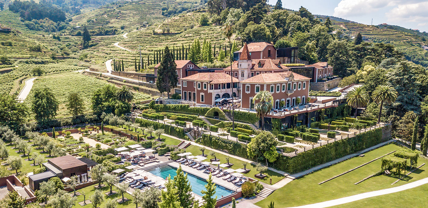 Vineyard & Wine Country